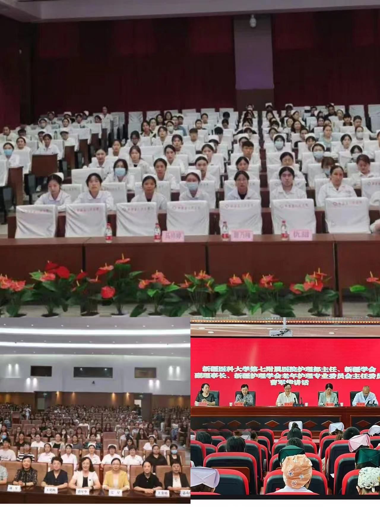 自治區(qū)衛(wèi)生健康適宜技術(shù)推廣項(xiàng)目“規(guī)范開展老年護(hù)理需求評估技術(shù)”學(xué)習(xí)班成功舉辦