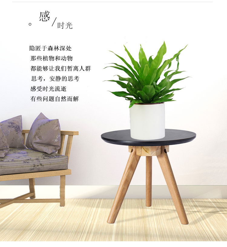 花卉出售鳥(niǎo)巢蕨