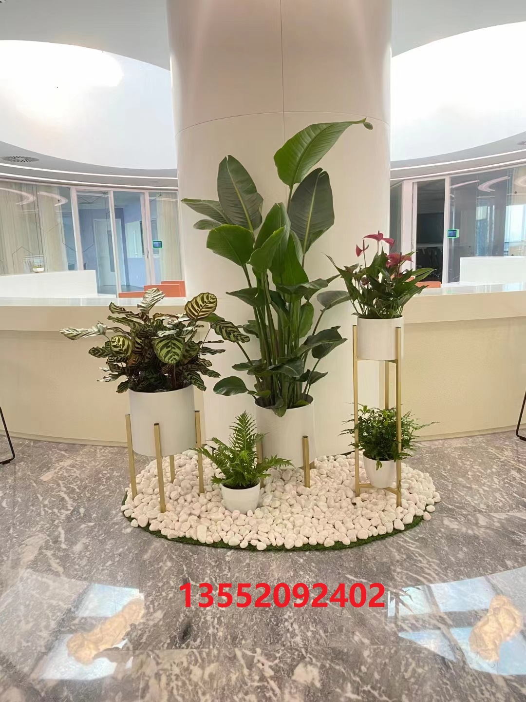 ?綠植租賃公司哪家好？如何選擇綠植租賃公司？