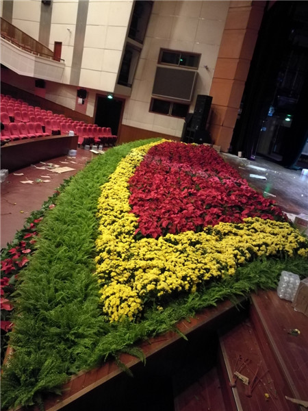 北京花卉植物菊花的種植簡單，記住這4點，開花更大