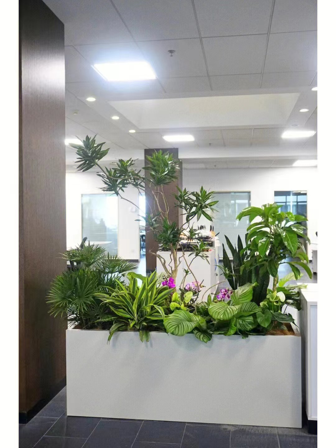 北京世紀(jì)匯通園藝養(yǎng)護(hù)綠植的標(biāo)準(zhǔn)。